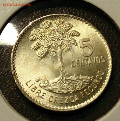 ГВАТЕМАЛА 5 сентаво 1964 С РУБЛЯ!!! - 110.JPG