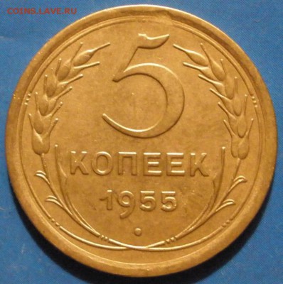 5 копеек 1955 г.-до 06.04.2014 г. в 22.00 - 5 к 955 p.JPG
