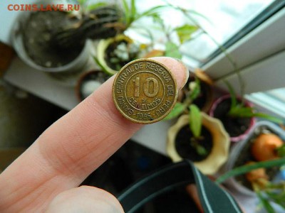 оценка - DSCN1641.JPG