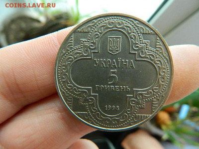 оценка - DSCN1644.JPG