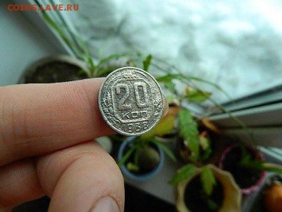 не понятная монета - DSCN1648.JPG