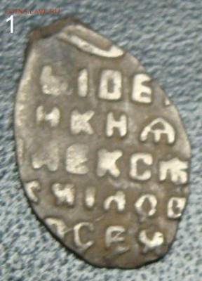 пять чешуек серебрянных - DSC03791.JPG