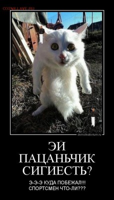 юмор - 0202130142429743