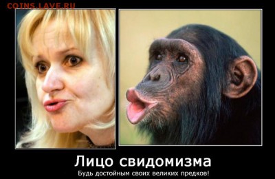 Ну а теперь про Украину - 431