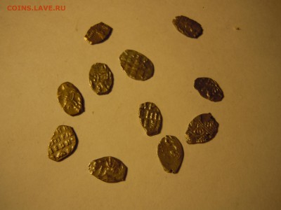 11 чешуек Петра 1 короткий, почта бесплатно - DSCN2123.JPG