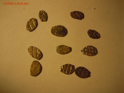 11 чешуек Петра 1 короткий, почта бесплатно - DSCN2124.JPG