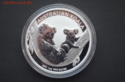 Австралийская монета 1$ Коала 2011 год - DSC_0875.JPG