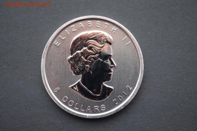 Канадские 5$, Лось, 2012 год - DSC_0902.JPG