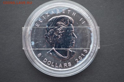 Канадские 8$, Медведь, 2013 год, 1,5 унции (46 гр) серебра - DSC_0890.JPG
