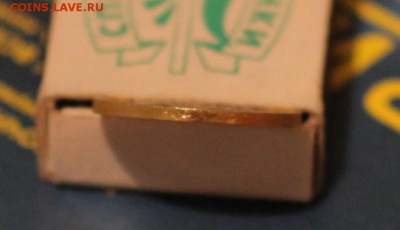 Пензенская область, двойная вырубка, две щели - IMG_0299.JPG