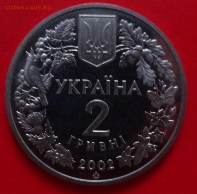 Пугач - DSC08630.JPG