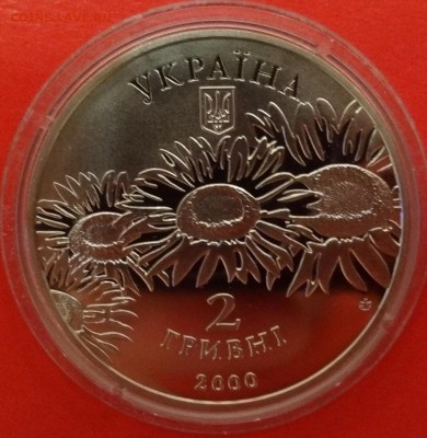 Олесь Гончар - DSC08631.JPG