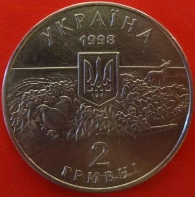Аскания нова - DSC08534.JPG