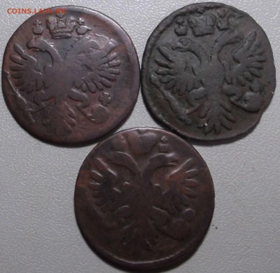 Денга 1730, 31, 35.гг. - DSCF3197.JPG