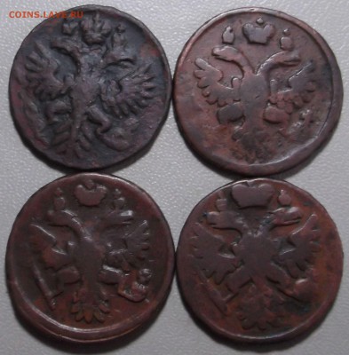 Денга 1731, 36, 37, 38.гг. до 08.04.14 в 22.00 по Мск - DSCF3200.JPG