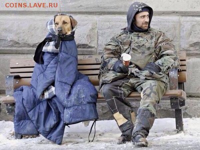 делает - прямо сейчас !!! - image