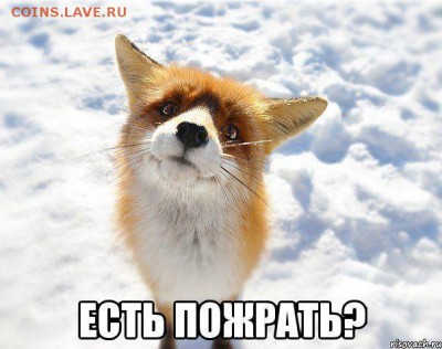 делает - прямо сейчас !!! - л