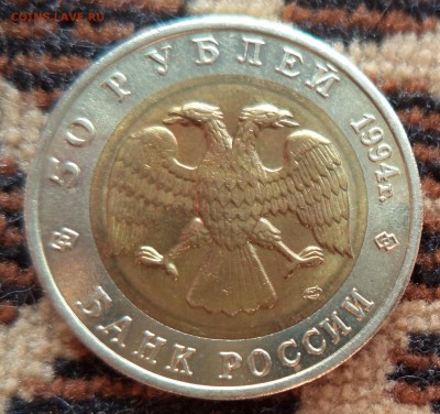 Джейран в блеске! Супер короткий! до 5.04.2014г в 21.00 по М - DSC00096.JPG