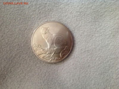 3 рубля Соболь 1995 ММД унция серебра до 11.04.2014 - image