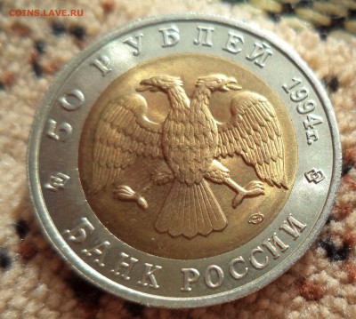 Слепыш в блеске! Супер короткий! до 5.04.2014г в 21.00 по МС - DSC00104.JPG