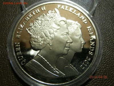 ФОЛКЛЕНДЫ 2012г.ЖИЗНЬ КОРОЛЕВЫ до 07.04 - P4060004.JPG