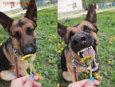 делает - прямо сейчас !!! - image