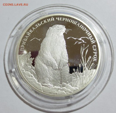 2 рубля 2008 Прибайкальский черношапочный сурок - IMG_7577.JPG