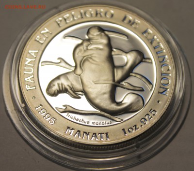 Исчезающая Флора.Гватемала.Пруф.1 oz.925. 1995г - _MG_9317.JPG