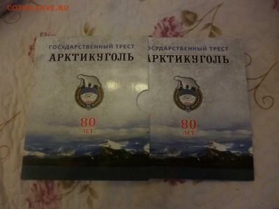 Арктикуголь куплю . - P1060054