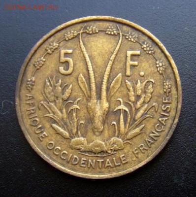 2 - Франц. Западная Африка 5 франков (1956) «Газель» №1 Р