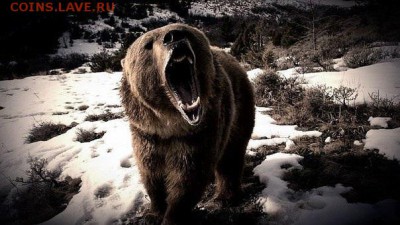 Ну а теперь про Украину - image