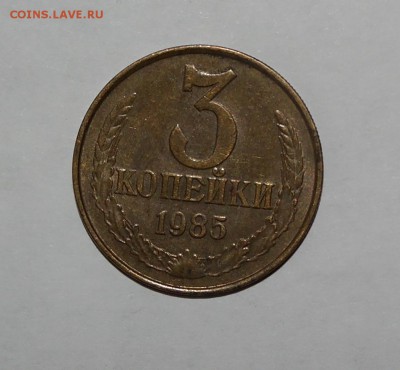 3коп 1985частый гурт!!! - SAM_2005.JPG
