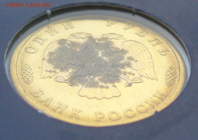 300 лет Флоту на оценку - P1200521.JPG