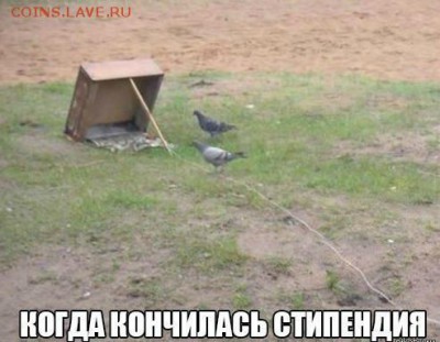 Ну а теперь про Украину - image