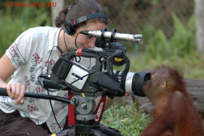 Ну а теперь про Украину - orangutangs_02