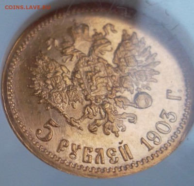 5 рублей 1903 MS-65 до 13.04.2013, 22:300 - SAM_2883.JPG