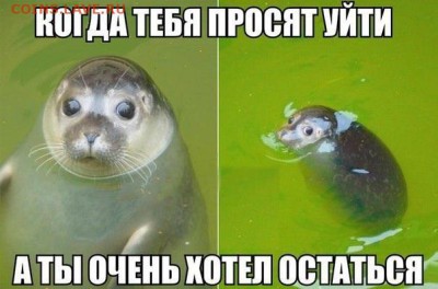 делает - прямо сейчас !!! - image