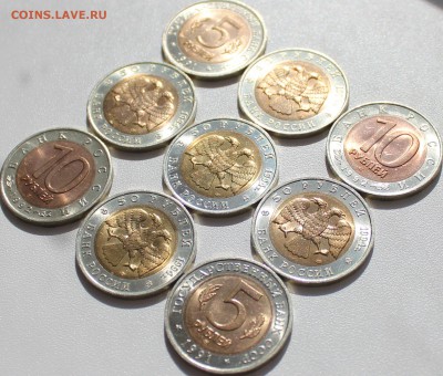 красная книга 9 монет - IMG_4460 (11)