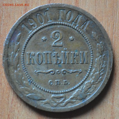 Медяха на оценку - DSC_0028.JPG