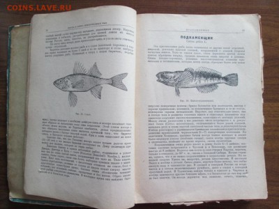 для рыбаков ЛП САБАНЕЕВ 1959 - IMG_3335.JPG