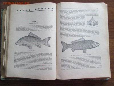 для рыбаков ЛП САБАНЕЕВ 1959 - IMG_3337.JPG