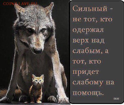 Ну а теперь про Украину - eM8oG1fBhTk