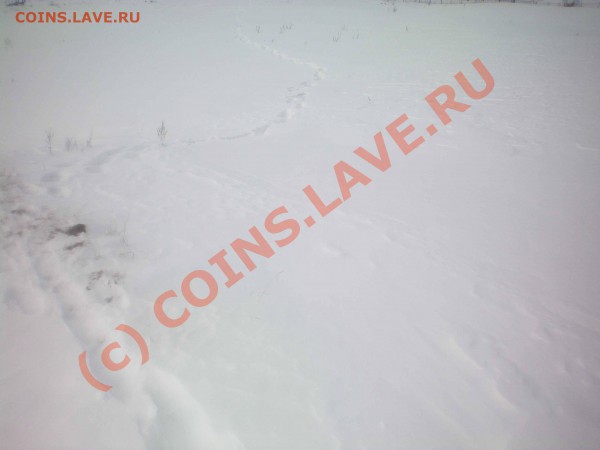 Снимаем ломку ;) фотоотчёт - 100_0227