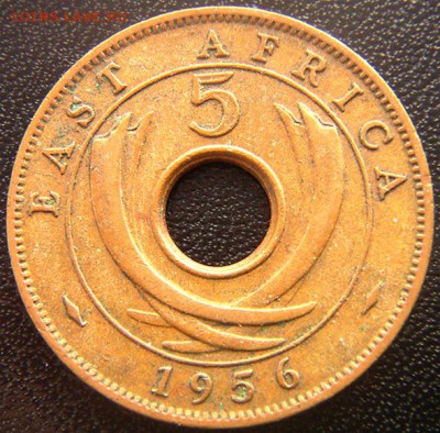 Британская Восточная Африка_5 центов 1956KN; до 15.04_22.06м - 7902