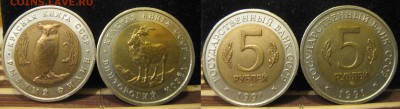 Красная книга 1991г. до 19.04.14. в 22-30мск - IMG_0066.JPG
