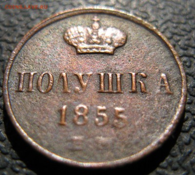 Полушка 1855 ЕМ+ бонус до 22-00 18.04.2014 - 333