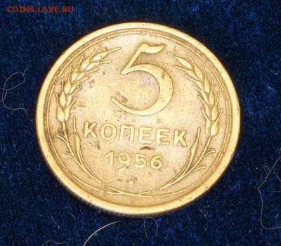 погодовка СССР - _DSC9287.JPG