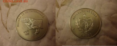 ДК Куба 1 песо Игуана голова 23.04 - P1060338.JPG