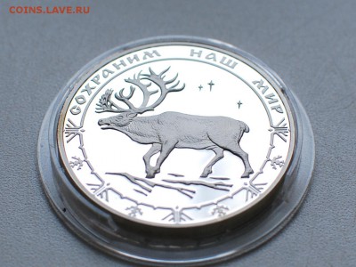 3 руб.Сохр.наш мир ОЛЕНЬ 2004г. до 20.04. в 22-00мск - ajnj 003