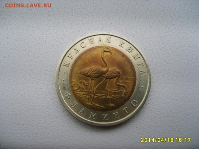 СССР,50 рублей 1994г(Красная Книга,фламинго)!до 20.04 - S6000020.JPG